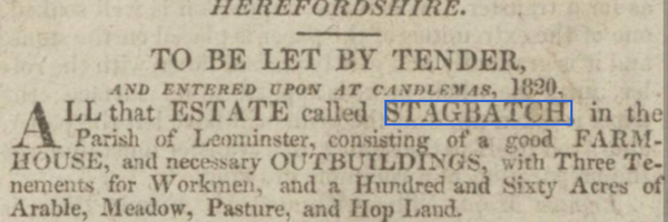 Article 1820 Stagbatch in Herefordshire