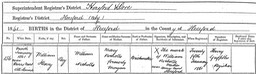 Birth 1861 William Henry Nicholls Original Birth Certificate