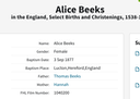 Birth 1877 Alice Beeks wife of Thomas Morgan Baptism record