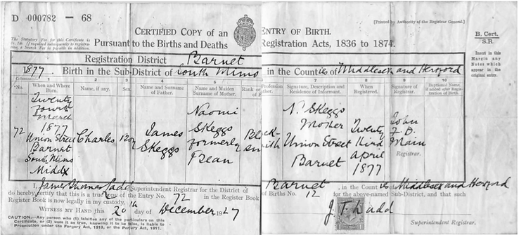 Birth 1877 Charles Skeggs HANDWRITTEN Birth Certificate