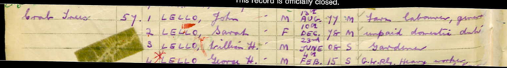 Birth 1878 Sarah Morgan on 10th December 1878 from 1911 Census copy