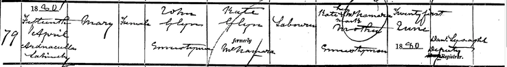 Birth 1880 Mary Glynn 15th April to John Glynn and Kate McNamara at Ardnaculla Lahinchy near Ennistymon