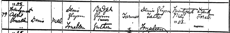 Birth 1908 Denis Glyn to Denis Glynn and Bridget nee Guthrie at Fanoleen