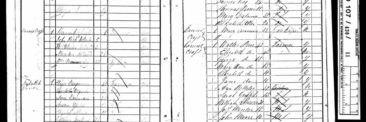 Census 1841 George Morgan in Stagbatch with John Sheward petitioner for John Mprgan