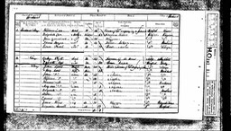 Census 1851 Thomas Morgan born 1836 in Monkland