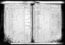 Census 1855 Timothy Glynn in West Roxbury Boston