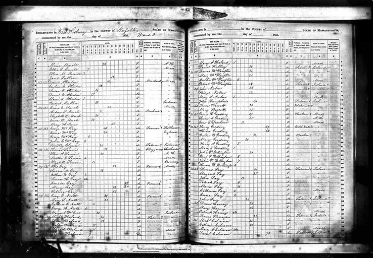 Census 1855 Timothy Glynn in West Roxbury Boston