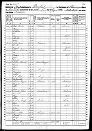 Census 1860 Timothy Glynn in USA Pomfret NEw York