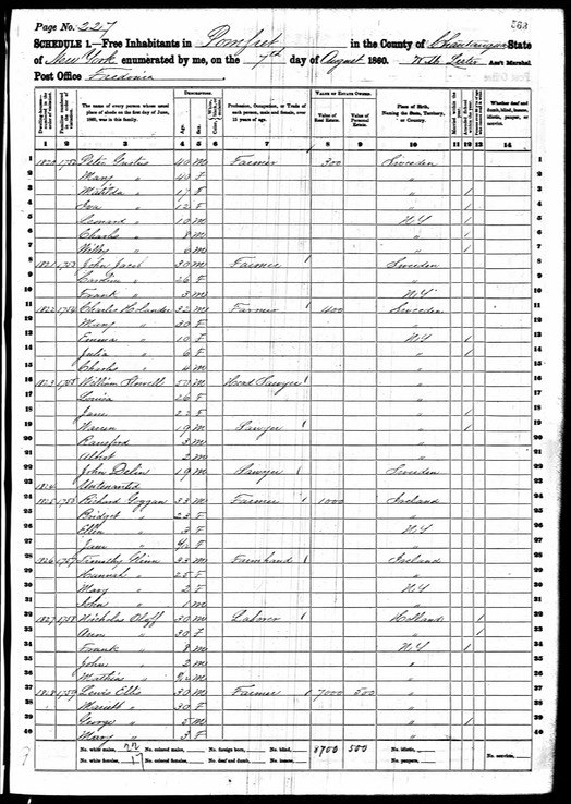 Census 1860 Timothy Glynn in USA Pomfret NEw York