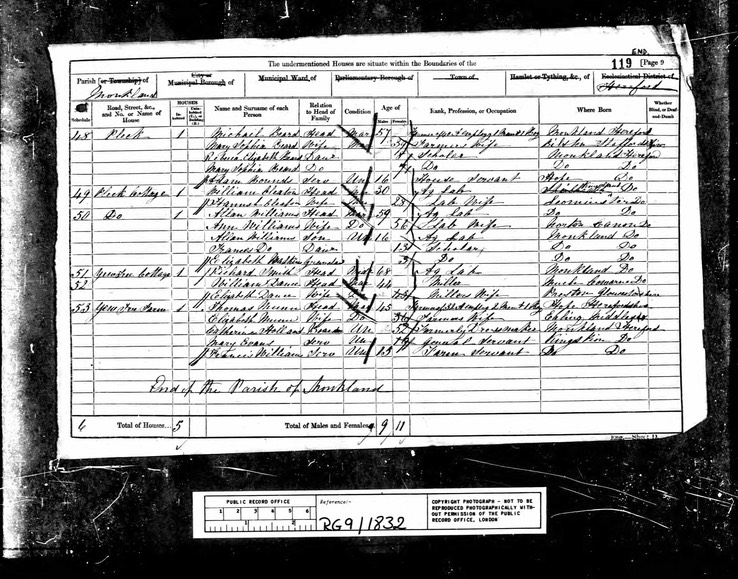 Census 1861 Ann Williams and Allen Williams and Ann is born in Norton Canon 