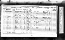 Census 1871 Elizabeth Robinson nee Morgan 5 no 2 court Wolverhampton St Dudley with John