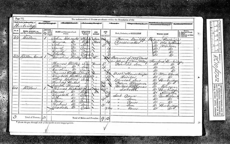 Census 1871 Elizabeth Watkins grand daughter of Ann Williams born Monkland spelling wrong in 1861 Census