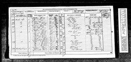 Census 1871 John Morgan born 1832 Aymestrey son of Mary Morgan near Susan Langford sister?