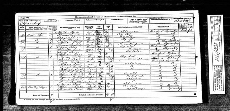 Census 1871 John Morgan born 1832 Aymestrey son of Mary Morgan near Susan Langford sister?