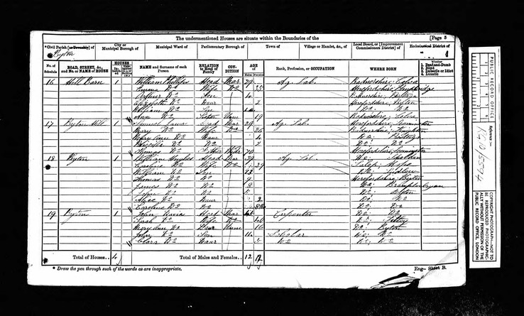 Census 1871 Mary Ann Davies born 1855 wife of Thomas Morgan born Monkland