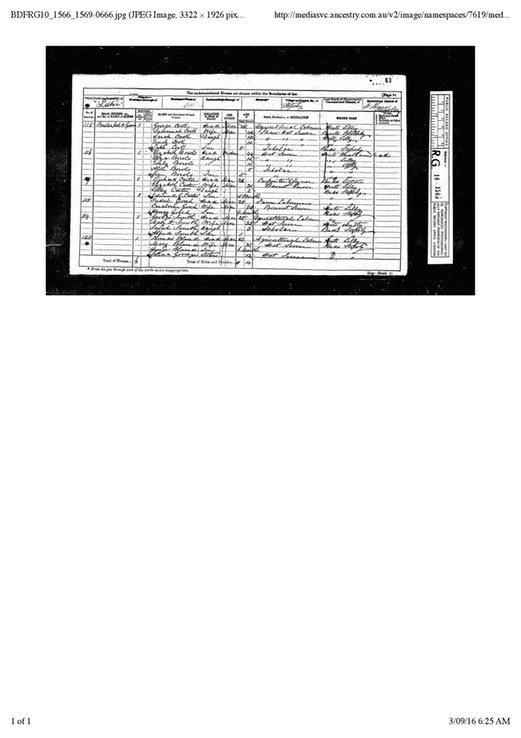 Census 1871 Mary Ann (Skeggs born 1846) and George Smith and 2 children Living in Luton