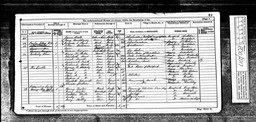 Census 1871 Thomas Morgan with half brother Allan Williams and widowed mother Ann