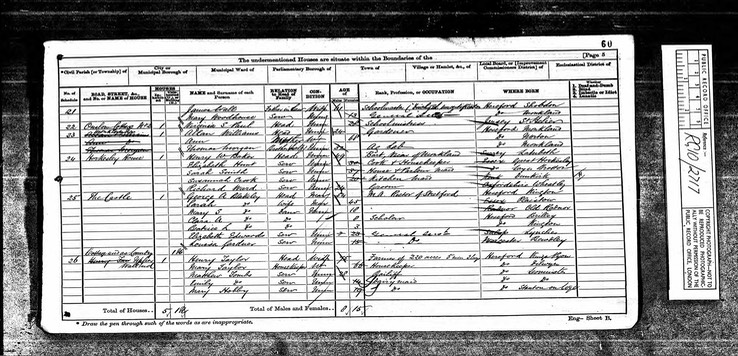 Census 1871 Thomas Morgan with half brother Allan Williams and widowed mother Ann