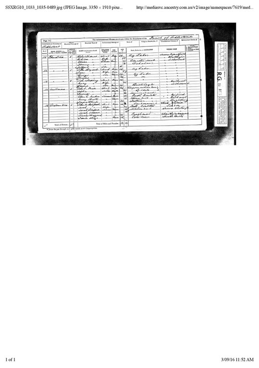 Census 1871 Thomas/James Skeggs (born 1821) next page, Sarah and James Skeggs in Sedlescombe