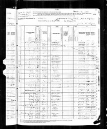 Census 1880 Delia G Glynn in Boston