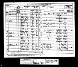 Census 1881 Elizabeth Robinson and husband John in Wolverhampton St Dudley