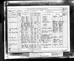 Census 1881 Francis Green son of John Bell