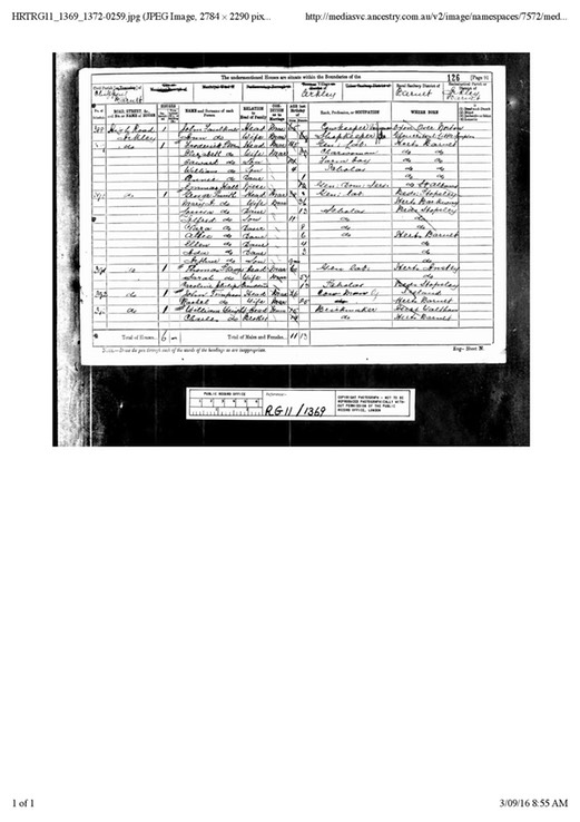 Census 1881 Mary Ann (Skeggs born 1845) and George Smith Living Barnet next door to Thomas and Sarah