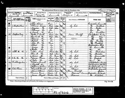 Census 1881 Thomas Morgan in Stretfordbury Leominster with wife Mary Ann