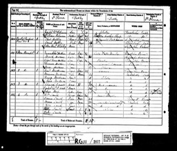 Census 1881 William Robinson born 1820 ??