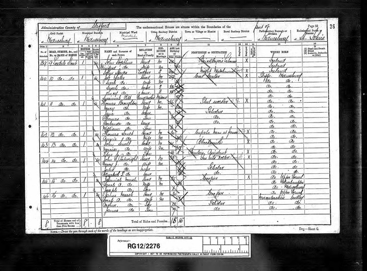 Census 1891 James Marsh and Sarah Ann Marsh with son James Marsh