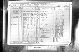 Census 1891 John Robinson widower age 64 in Wolverhampton St Dudley