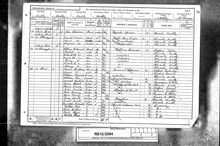 Census 1891 John Robinson widower wife Elizabeth had died 1889