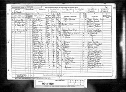 Census 1891 Mary Nicholls born Leominster with husband William in Norfolk