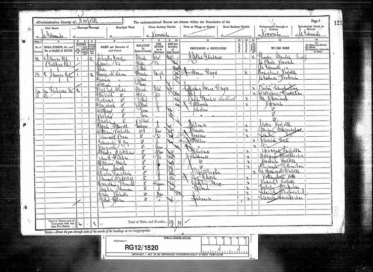 Census 1891 William Nicholls in Norfolk with wife Mary Nichols