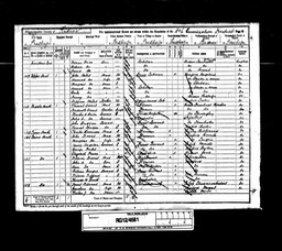 Census 1891 Thomas Morgan son of Monkland Thomas Morgan