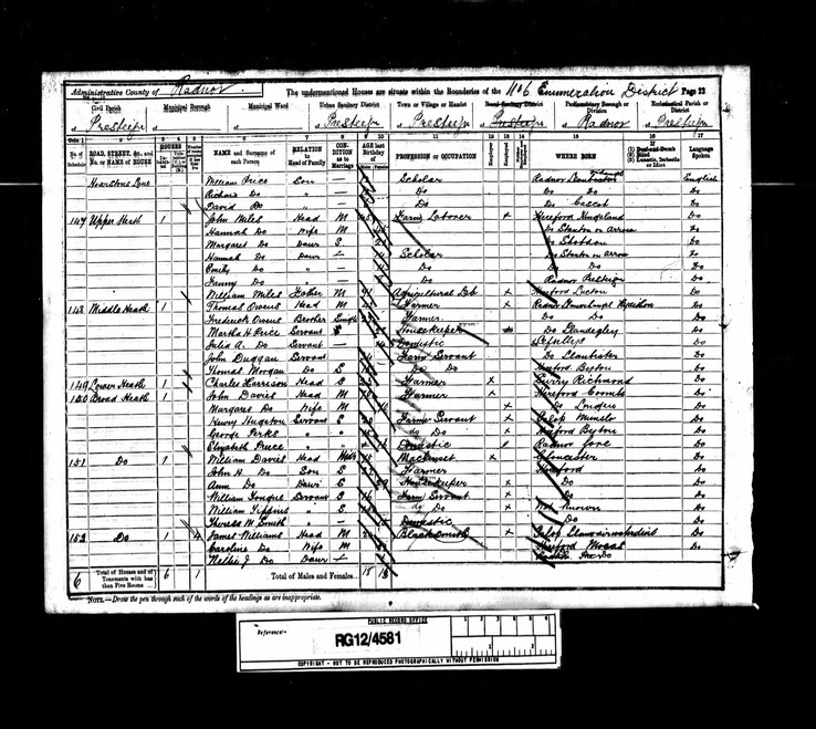 Census 1891 Thomas Morgan son of Monkland Thomas Morgan