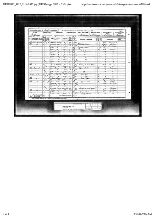 Census 1891 Thomas Skeggs (age 66) and Granddaughter Clara Smith aged 20 Living in Barnet