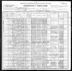 Census 1900 James B Sawyer and wife Kate in Milford Massachusetts