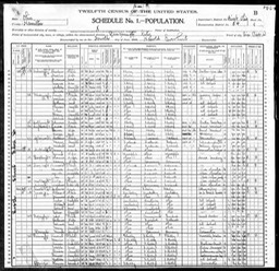 Census 1900 Katherine Glynn widow of John Glynn in Ohio USA