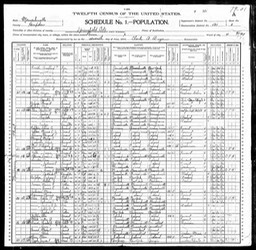 Census 1900 Mary Glynn at 75 Mulberry St Springfield Massachusetts