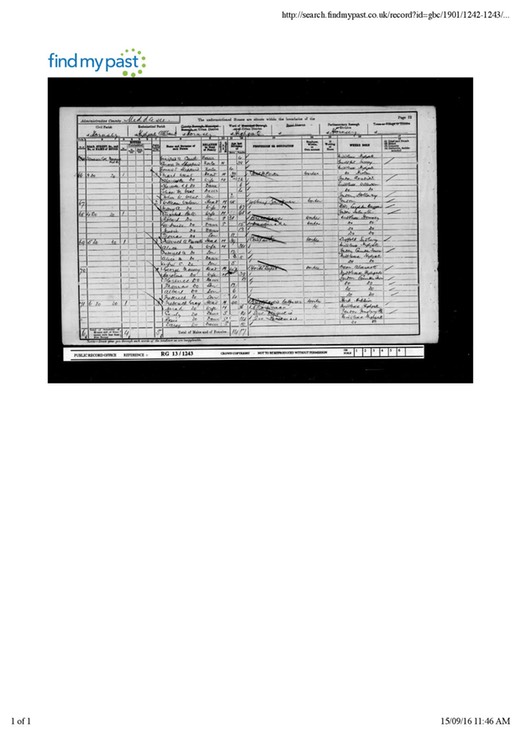 Census 1901 Elizabeth Bell (born 1851) but no Henry Bell