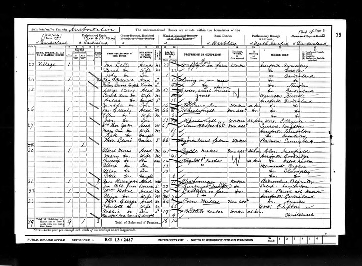 Census 1901 Sarah Lello daughter of Thomas Morgan