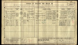 CENSUS 1911 John James (husband of Annie Bell) and their son with new wife and 2 more sons