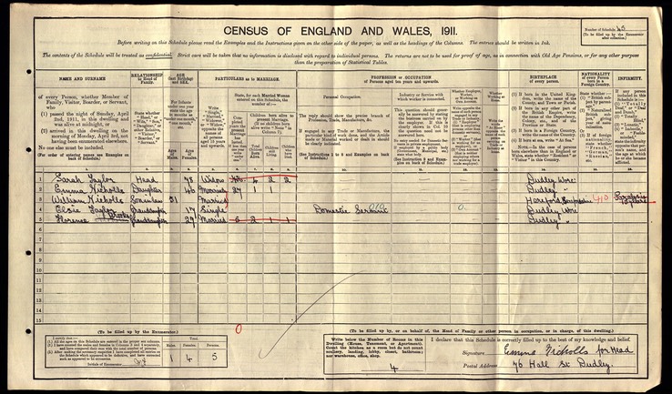 Census 1911 William Nicholls son of Mary Ann Watkins