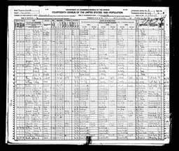 Census 1920 Mary A Glynn in Mulberry St Springfield Massachusetts