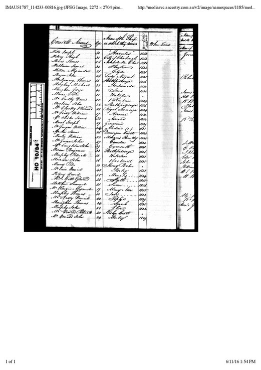 Convict 1835 John Morgan Convict Muster age 26 on arrival