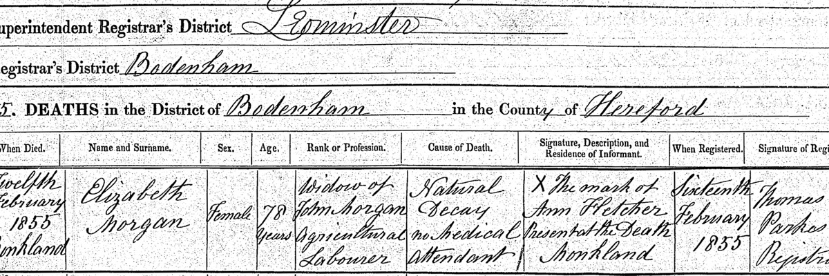 Death 1855 Elizabeth Morgan Original Certificate