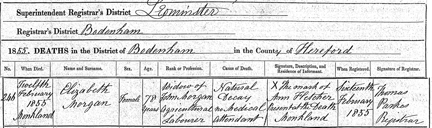 Death 1855 Elizabeth Morgan Original Certificate