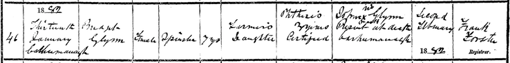 Death 1883 Bridget Glynn age 7 daughter of John Glynn of Carrowmanagh