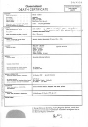 Death 1901 Martin Suthers father of Catherine Suthers ORIGINAL Certificate